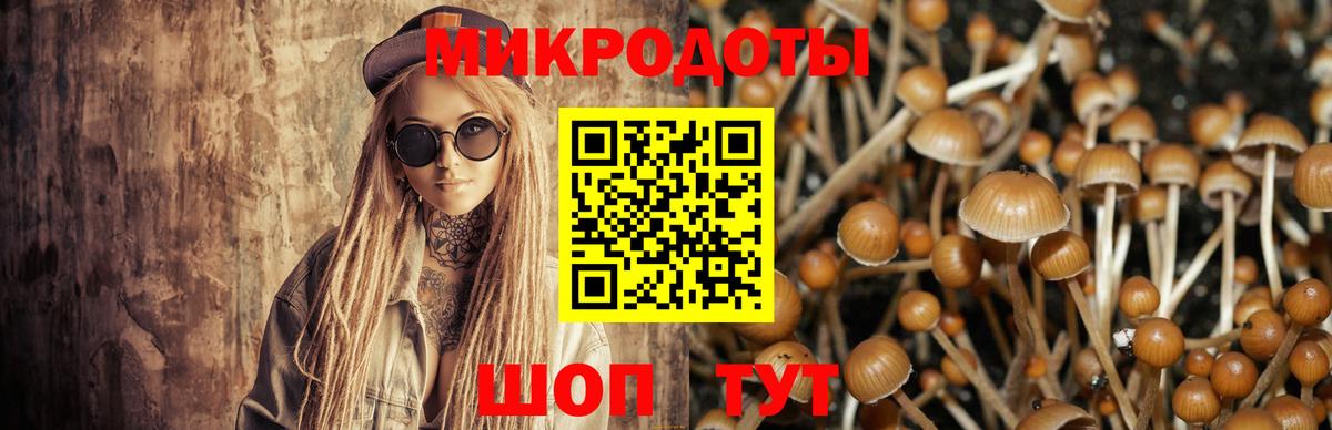 Галлюциногенные грибы MAGIC MUSHROOMS  Галлюциногенные грибы ЛСД  Вход с VPN  Артёмовский 